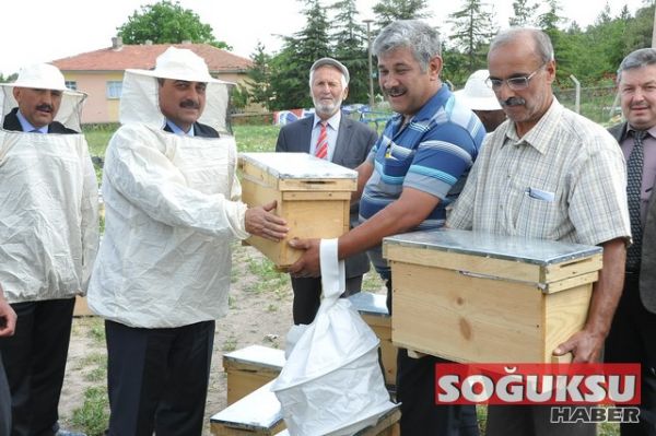 OĞUL ARI DAĞITIMI AKDOĞAN KÖYÜNDE YAPILDI