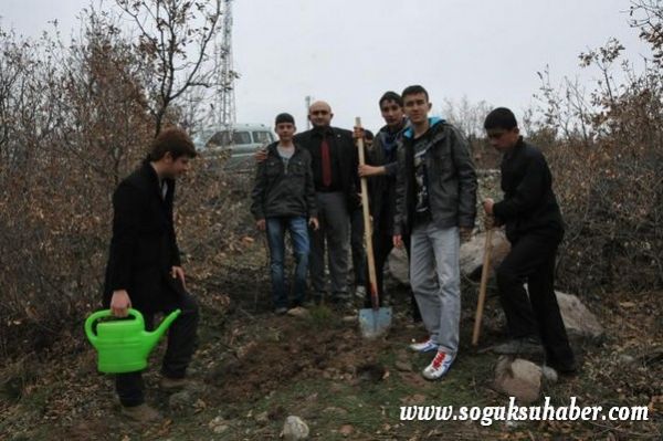 KIZILCAHAMAM'DA 400 ÇAM FİDANI TOPRAKLA BULUŞTU