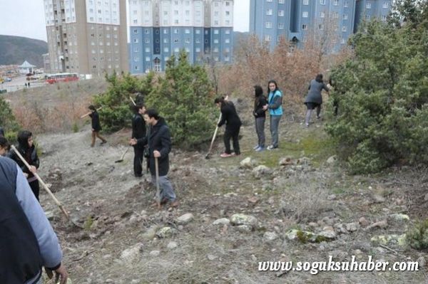 KIZILCAHAMAM'DA 400 ÇAM FİDANI TOPRAKLA BULUŞTU