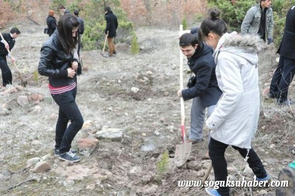 KIZILCAHAMAM'DA 400 ÇAM FİDANI TOPRAKLA BULUŞTU