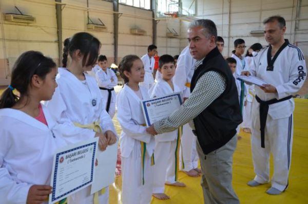 TAEKWONDO'DA BAŞARI BELGESİ