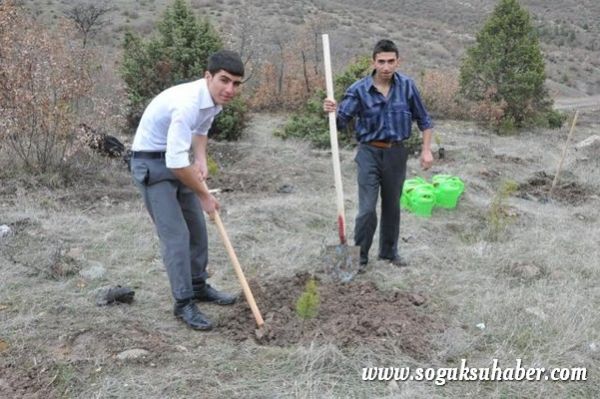 KIZILCAHAMAM'DA 400 ÇAM FİDANI TOPRAKLA BULUŞTU