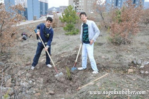 KIZILCAHAMAM'DA 400 ÇAM FİDANI TOPRAKLA BULUŞTU