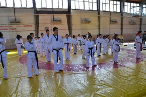 TAEKWONDO'DA BAŞARI BELGESİ