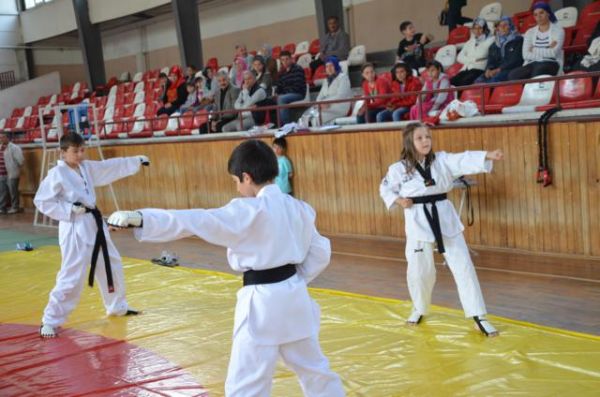 TAEKWONDO'DA BAŞARI BELGESİ