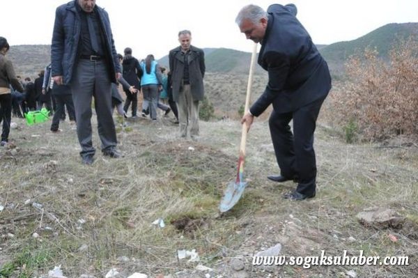 KIZILCAHAMAM'DA 400 ÇAM FİDANI TOPRAKLA BULUŞTU