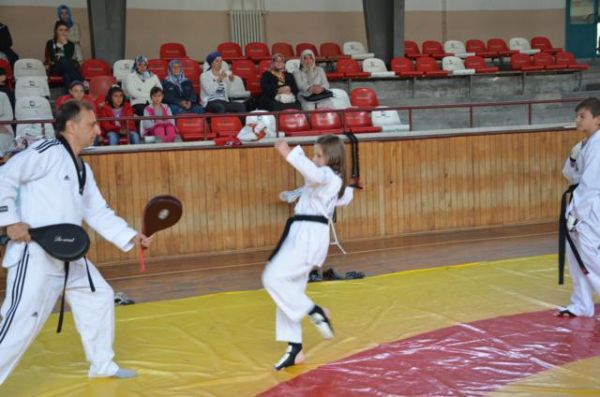 TAEKWONDO'DA BAŞARI BELGESİ