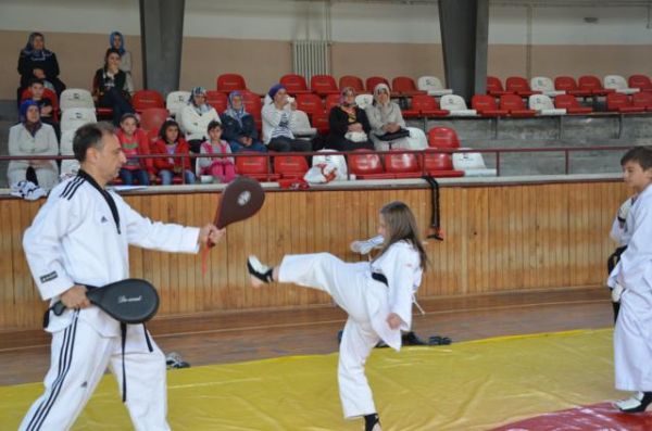 TAEKWONDO'DA BAŞARI BELGESİ