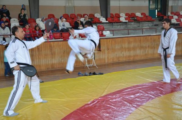 TAEKWONDO'DA BAŞARI BELGESİ