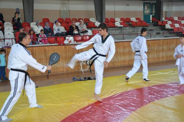 TAEKWONDO'DA BAŞARI BELGESİ