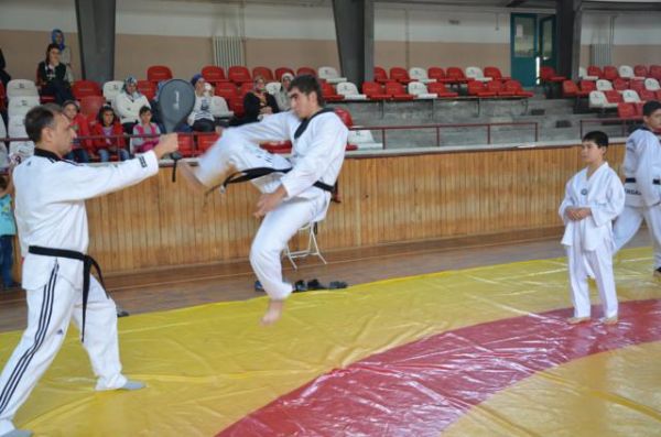 TAEKWONDO'DA BAŞARI BELGESİ