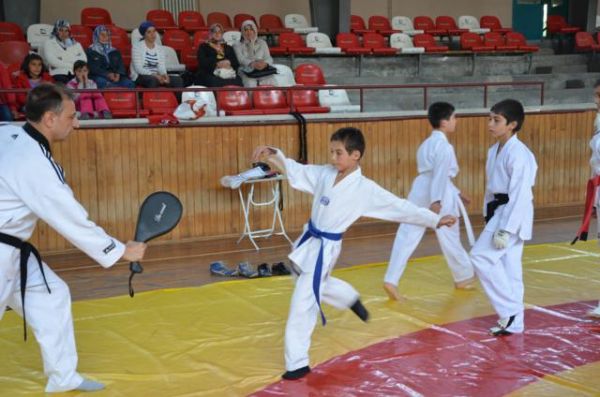 TAEKWONDO'DA BAŞARI BELGESİ