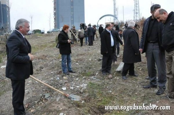 KIZILCAHAMAM'DA 400 ÇAM FİDANI TOPRAKLA BULUŞTU