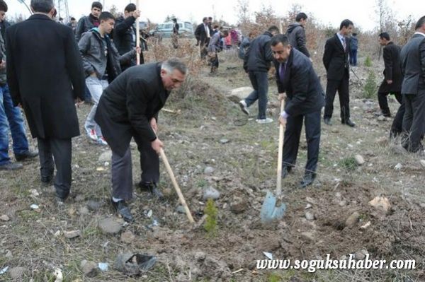 KIZILCAHAMAM'DA 400 ÇAM FİDANI TOPRAKLA BULUŞTU