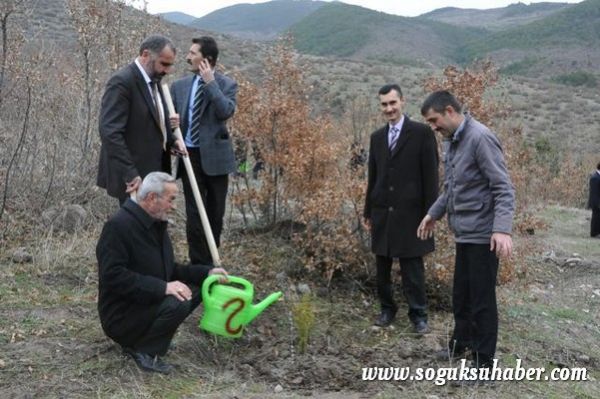 KIZILCAHAMAM'DA 400 ÇAM FİDANI TOPRAKLA BULUŞTU