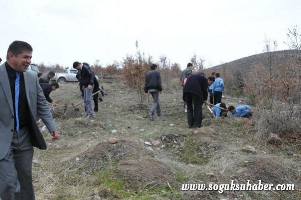 KIZILCAHAMAM'DA 400 ÇAM FİDANI TOPRAKLA BULUŞTU