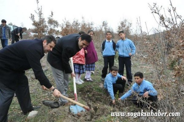 KIZILCAHAMAM'DA 400 ÇAM FİDANI TOPRAKLA BULUŞTU