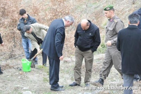 KIZILCAHAMAM'DA 400 ÇAM FİDANI TOPRAKLA BULUŞTU