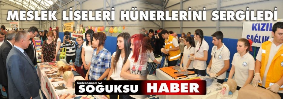 2014 MESLEKİ SERGİSİ 