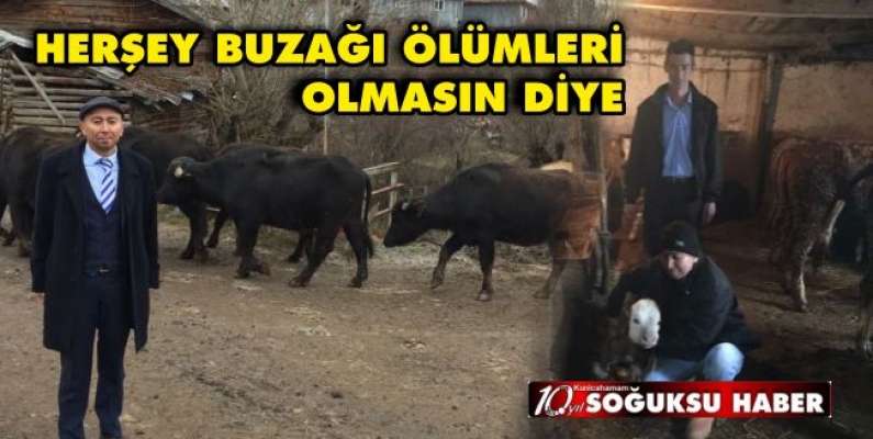 BUZAĞI KAYIPLARINA SON