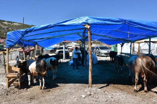KIZILCAHAMAM'DA KURBAN PAZARI KURULDU