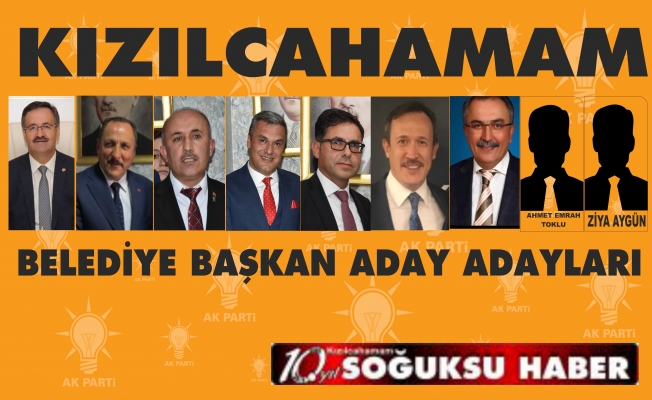 AK PARTİ'DE TEMAYÜL HEYECANI...