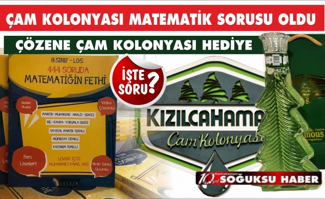 ÇAM KOLONYASI MATEMATİK SORUSU OLDU