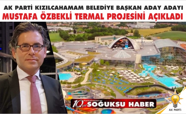 MUSTAFA ÖZBEKLİ'DEN TERMAL PROJE