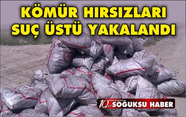 KÖMÜRLERİ SATARKEN YAKALANDI