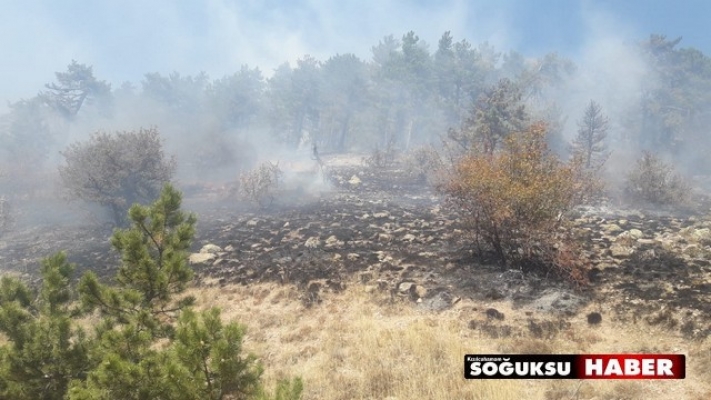 SOĞUKSU MİLLİ PARKINDA YANGIN