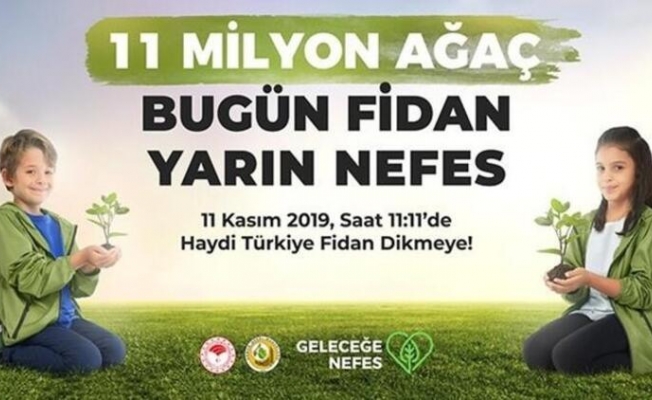 KIZILCAHAMAM’DA 11 NOKTADA 20 BİN FİDAN DİKİLECEK