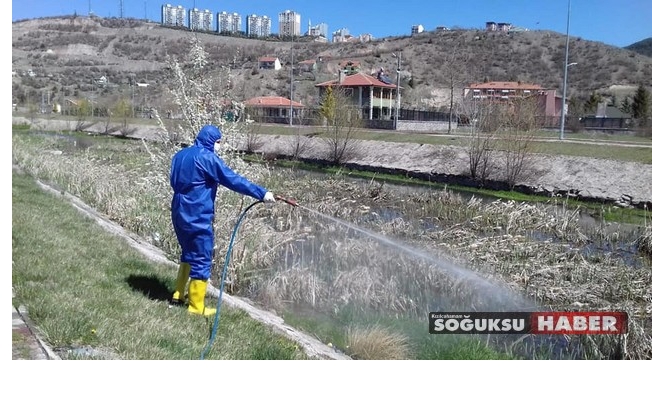 KIZILCAHAMAM'DA SİNEKLER İÇİN İLAÇLAMA YAPILDI