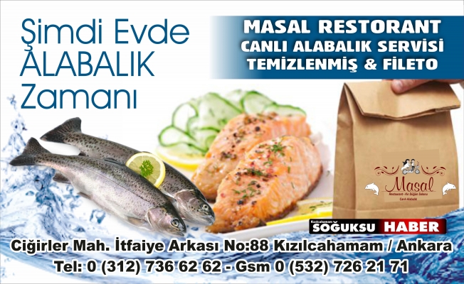 CANLI ALABALIK SİPARİŞİ VEREBİLİRSİNİZ