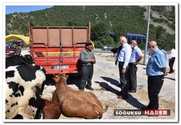 KIZILCAHAMAM'DA KURBAN PAZARI