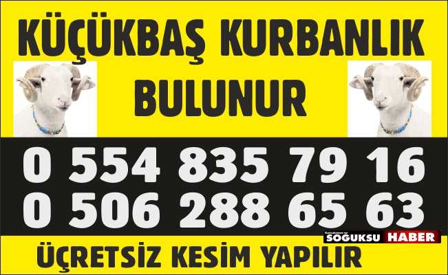 KÜÇÜK BAŞ KURBANLIK SATIŞLARI BAŞLADI