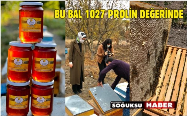 BAL MUCİZEVİ VE İLAHİ BİR ŞİFA KAYNAĞIDIR