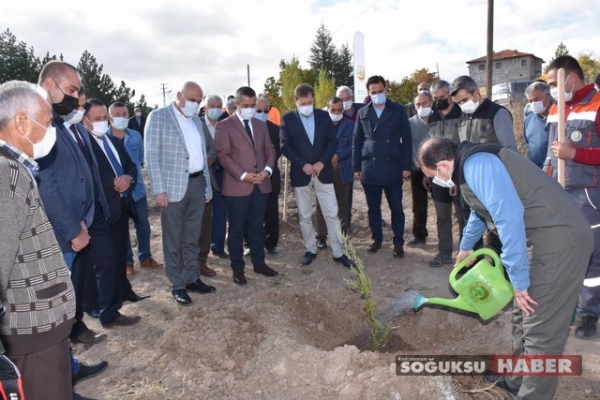 GELECEĞE NEFES İÇİN 30 BİN FİDAN TOPRAKLA BULUŞTU