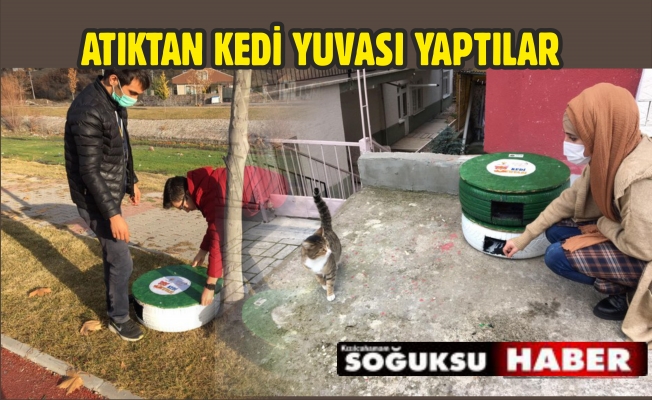 AK GENÇLİK ATIKLARDAN KEDİ YUVASI YAPTI