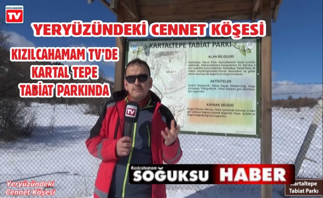 KARTALTEPE TABİAT PARKINDA MUHTEŞEM GÖRÜNTÜ