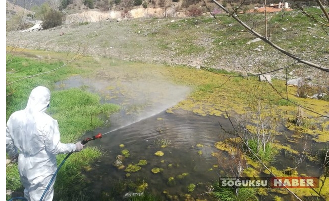 KIZILCAHAMAM BELEDİYESİNDEN HAŞERE İLE MÜCADELE