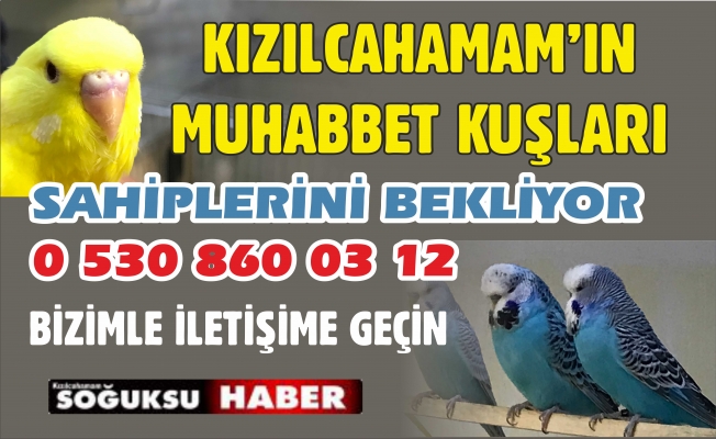 SİZİNDE BİR MUHABBET KUŞUNUZ OLSUN