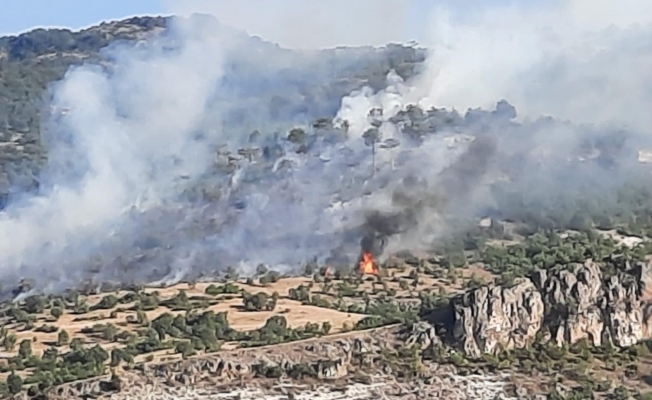 KIZILCAHAMAM ÇAVUŞLAR MAHALLESİNDE YANGIN