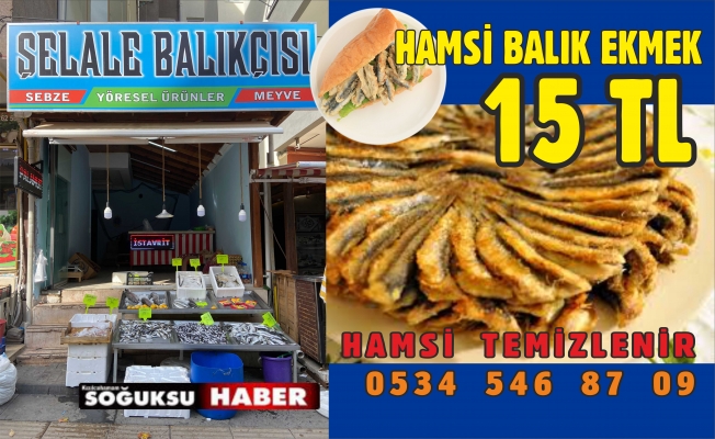 EKMEK ARASI BALIK 15 TL