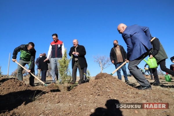 MİLLİ AĞAÇLANDIRMA GÜNÜ KIZILCAHAMAM'DA 2400 FİDAN DİKİLDİ