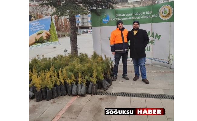 ORMANCILIK GÜNÜNDE VATANDAŞA ÇAM FİDANI DAĞITILDI