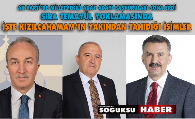 AK PARTİ’DE BAŞVURULAR SONA ERDİ SIRA TEMAYÜL YOKLAMASINDA