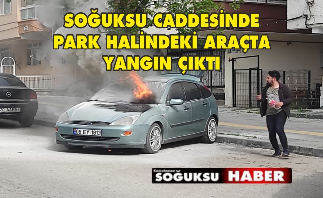 ARAÇTA ÇIKAN YANGIN PANİĞE NEDEN OLDU