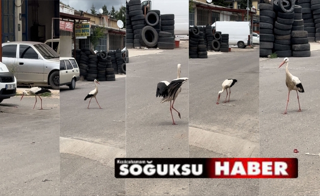 SANAYİNİN MASKOTU OLDU