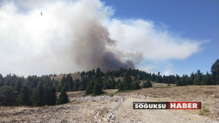 KIZILCAHAMAM VE GEREDE SINIRINDA ORMAN YANGINI