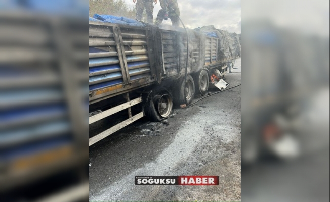 KARGASEKMEZDE KÖMÜR YÜKLÜ KAMYAN YANMAKTAN SON ANDA KURTULDU
